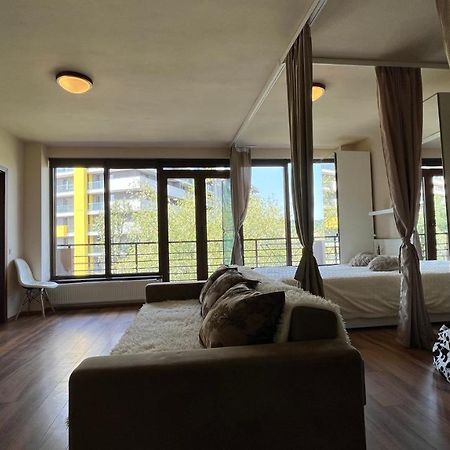 Plopilor Sdtudio Appartement Cluj-Napoca Buitenkant foto