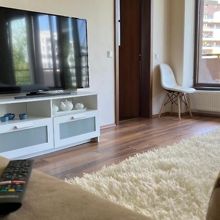 Plopilor Sdtudio Appartement Cluj-Napoca Buitenkant foto