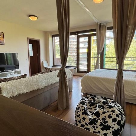 Plopilor Sdtudio Appartement Cluj-Napoca Buitenkant foto