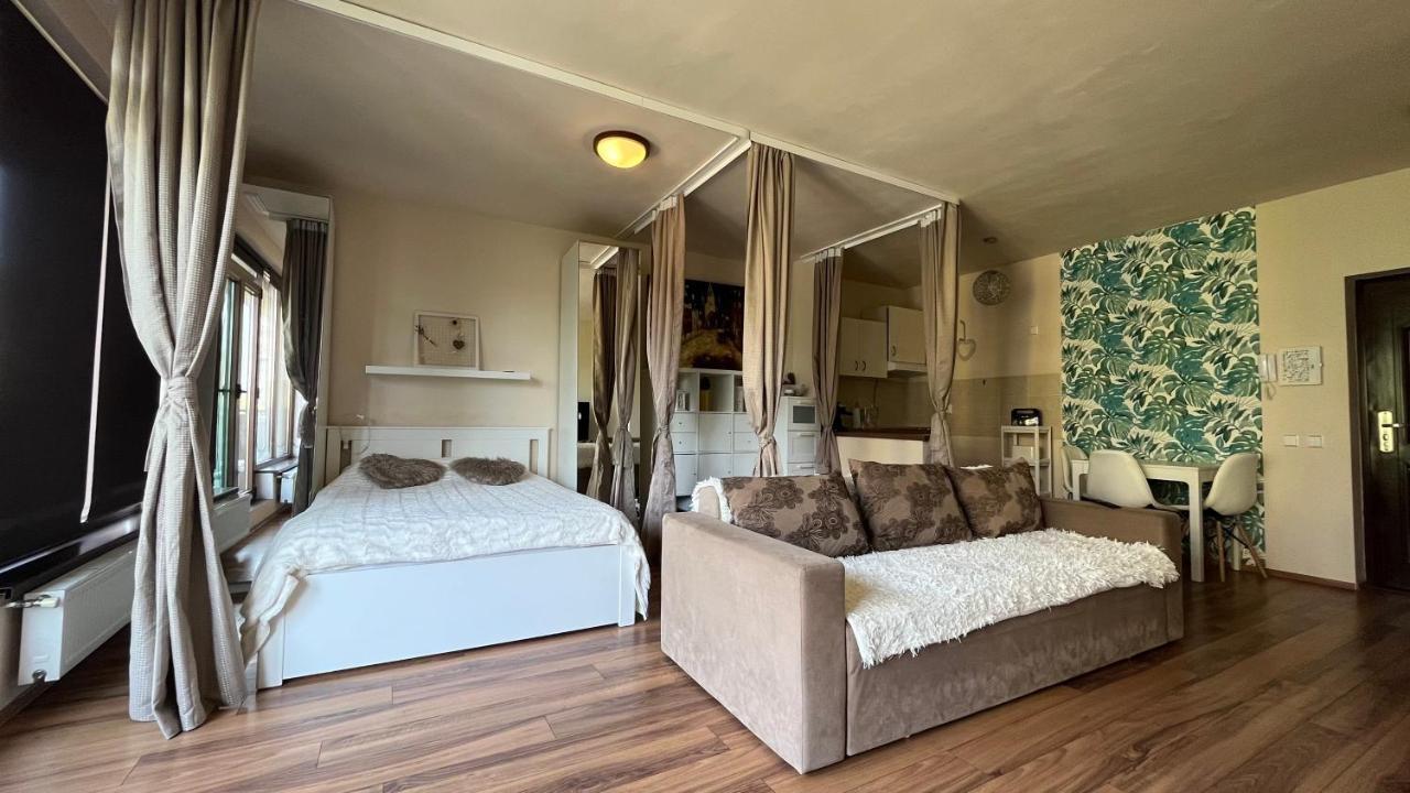 Plopilor Sdtudio Appartement Cluj-Napoca Buitenkant foto