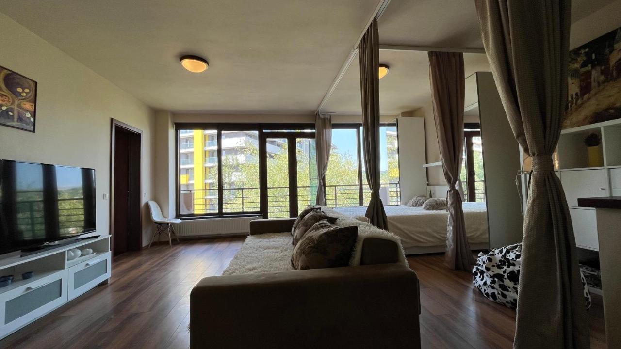 Plopilor Sdtudio Appartement Cluj-Napoca Buitenkant foto