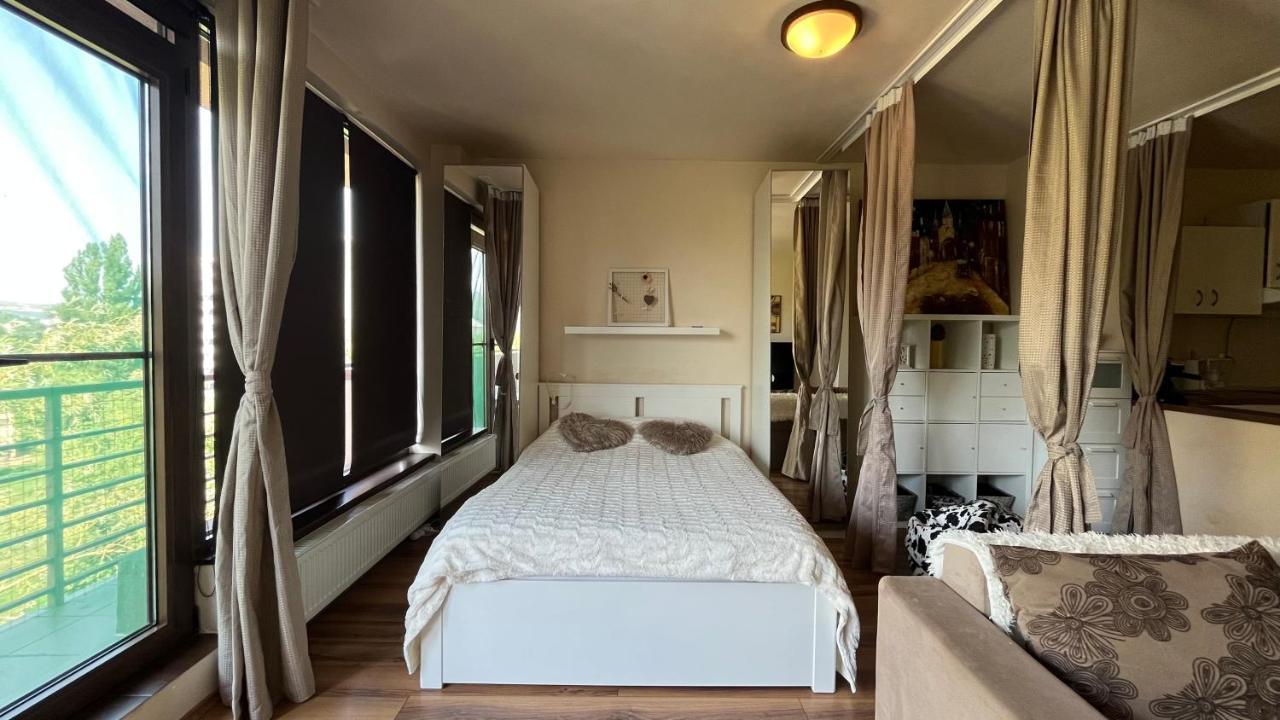 Plopilor Sdtudio Appartement Cluj-Napoca Buitenkant foto