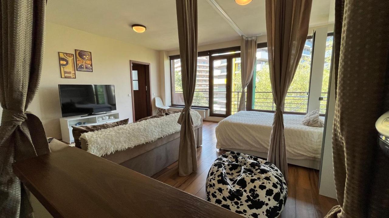 Plopilor Sdtudio Appartement Cluj-Napoca Buitenkant foto