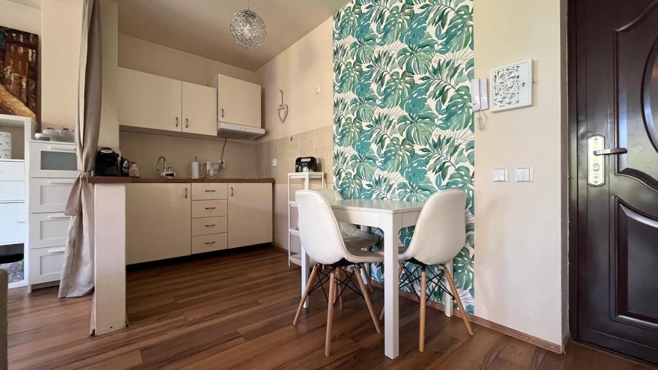 Plopilor Sdtudio Appartement Cluj-Napoca Buitenkant foto